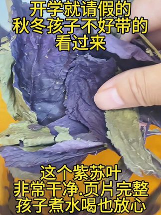 #韩明辰 秋冬季要来啦,#紫苏 一定要备着点,一家老小你总会用到它,尤其是家里有孩子的,孩子又很难带的,小小紫苏叶,能帮上大忙#育儿#家长必看