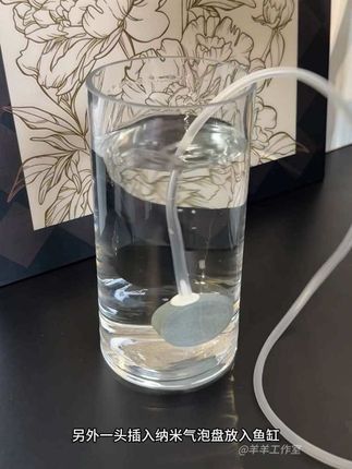 USB接口增氧泵,可连接充电宝,家用静音增氧泵用起来方便实用#增氧泵 #好东西一起分享