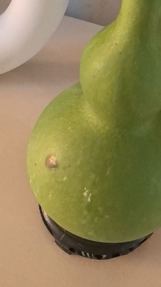 葫芦的正面有个黑色的坑 #我在抖音买买买