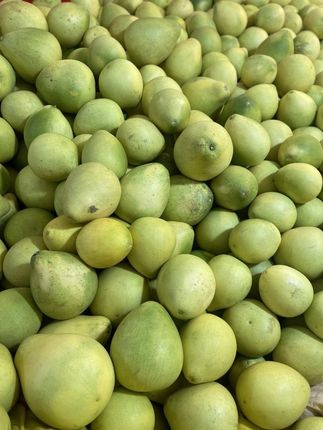 咱家果园开园啦 喜欢吃柚子的朋友来#强烈推荐 #抖音助农 #特色农产品 #应季水果 #柚子