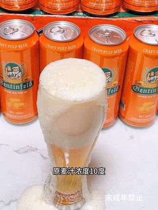 德国根庭费尔德黄啤10度500ml*12罐精酿500ml*12罐啤酒#麦香浓郁#口感纯正#好喝不贵经济实惠