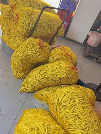 #优质农产品 #价格美丽