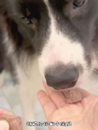 两位数就能到手整整三十包鸡肝,关键猫猫狗狗还爱吃,养宠家庭刷到直接薅#宠物蒸煮鸡肝