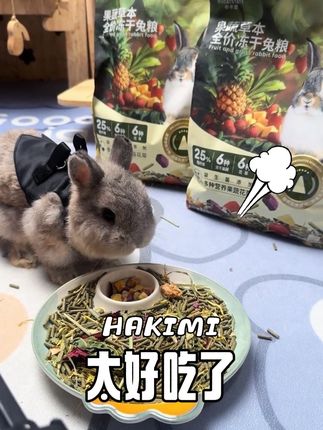 快快快!兔粮薅羊毛了!布卡星家的草本果蔬冻干兔粮一杯奶茶钱就能带走,快给毛孩子安排上!最重要的轻松拿捏玻璃胃小兔也放心吃!#养兔人 #宠物吃货 #兔粮供给站 #兔粮 #兔粮测评