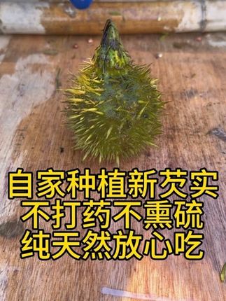 这里是中国芡实之乡,盛产芡实的地方,每一颗芡实都是精心挑选,煲汤煮粥打豆浆好喝又营养……#优质农产品 #原产地 #芡实