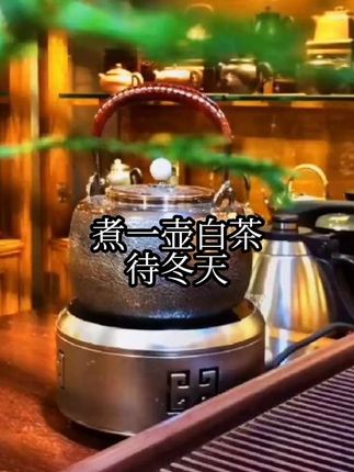店里球人没有,抖音直播间看同行也不想看了,煮一壶老白茶又混了一下午。