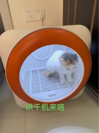 #推荐热门 #推荐好物 宠物烘干机,解放双手,只需要打开开关把宠物放进去即可🉑