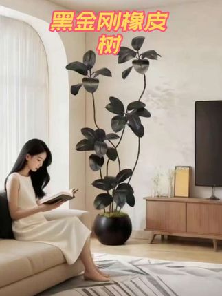 黑金刚仿真绿植高端轻奢橡皮树仿真植物室内落地家居盆栽假花盆景 #家居软装搭配 #客厅搭配 #绿植 #软装搭配 #软装
