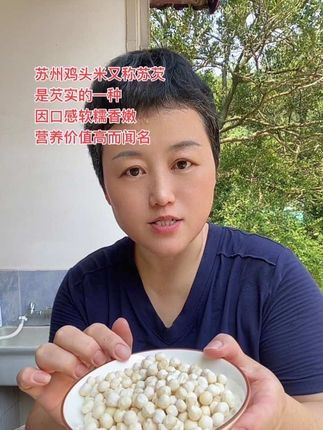 吃鸡头米的季节到了,大家可以去尝尝#芡实 #鸡头米 #优质农产品