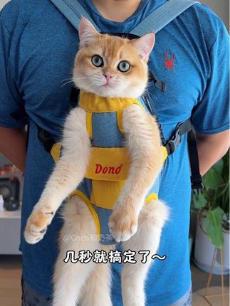 剪指甲,洗耳朵,喂药,还有社会化训练……这个猫包都很实用~从小开始用会更好适应#养猫新手 #养猫人 #猫包 #带猫社会化训练 #养猫经验分享
