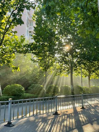 继子问后妈要钱,亲爹当场黑脸,没想到继子比谁都懂事。 #二婚的家庭生活