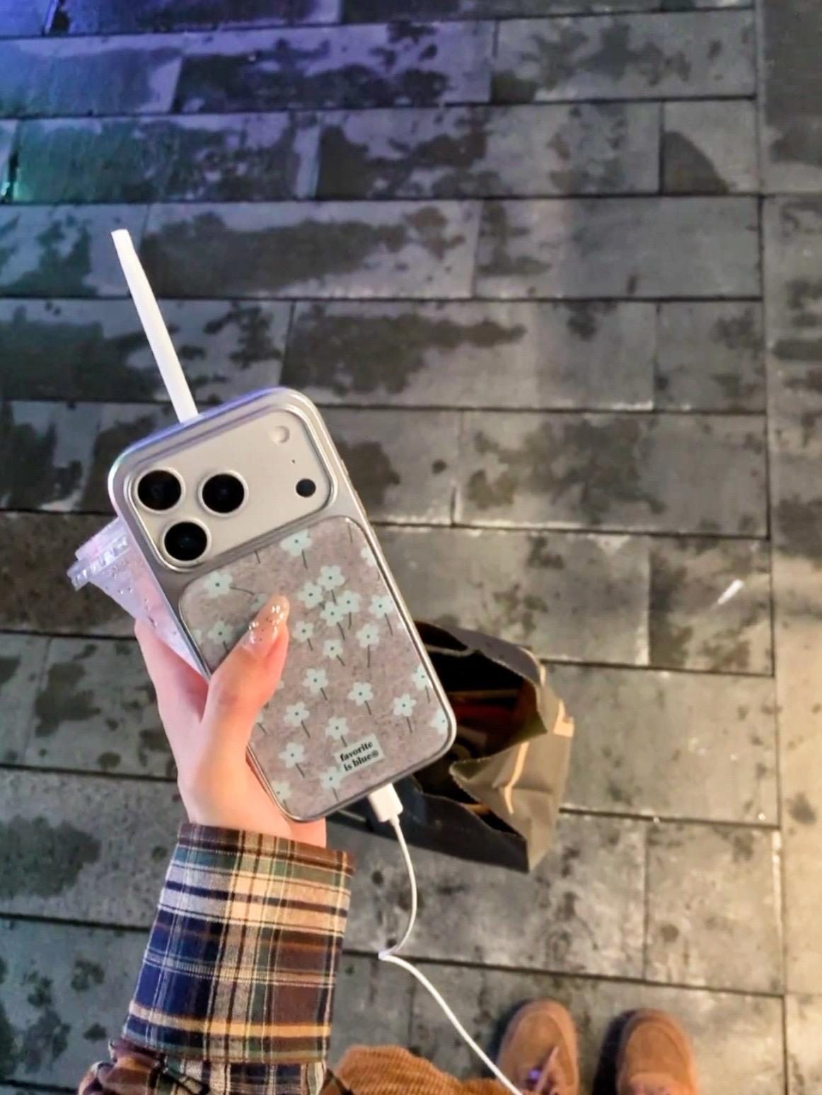 iphone17pro银色搭配韩系花朵ᵕ̈ ᑋᵉᑊᑊᵒ ᐝ 𓃟 #高级感 #爱了爱了 #苹果手机壳 #ins #这个手机壳真的长在我心巴上了