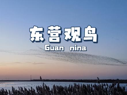 东营观鸟纯享版(无剪辑)
起飞时间:17:07-17:10 左右
起飞地点:导航至观鸟台或者黄河口生态旅游区
攻略心得:自驾的朋友们一定要早去,晚点去车只能堵在半路、或者车停在路口,要步行 1Km 到达观鸟点。当然,观鸟当天能不能看到鸟,能不能有夕阳,也是需要有一定的运气加持的(天气很眷顾我,当天下午出了太阳)。还有~一定一定不要在鸟浪的下方张着嘴(会100% 中奖哦(´-ω-`))#东营 #东营鸟浪