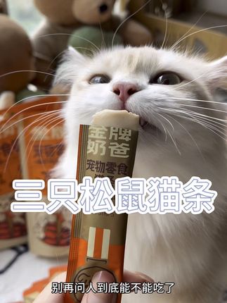 三只松鼠出猫条了,70鸡胸肉➕南极磷虾➕鱼油,原料皆可溯源,给毛孩子吃放心猫条👌#吃货猫 #养猫新手 #喂猫