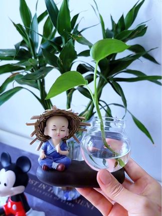 天啊,这个中式小和尚绿萝水培花盆摆件,太好看了,摆在家里桌上,茶室,办公桌上都很有意境,给生活增添色彩#家居摆件 #水培植物 #提升幸福感好物 #器物之美 #摆件