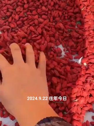 #强烈推荐 #每日分享 #快来一起尝个鲜 #美食 #好吃的美食一起分享