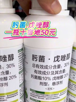 #农业种植 #三农 #热门推荐抖音小助手