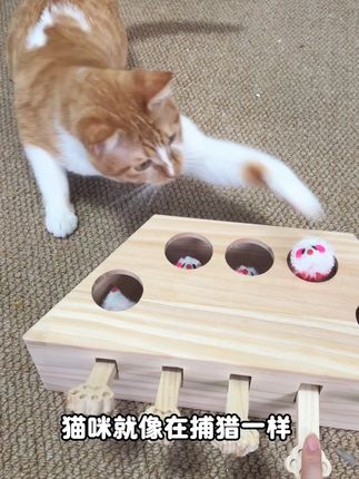 猫咪真的很爱玩这种打地鼠玩具,而且不像其他损耗类玩具,玩几天就坏了,这个买一个真的可以玩很久#猫咪玩具 #猫玩具推荐 #猫咪打地鼠 #猫打地鼠 #逗猫神器