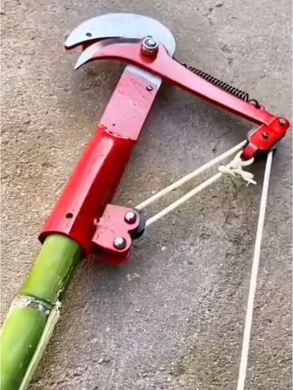 凤姐好物(安)家居百货 #创作灵感#高枝剪刀 #伸缩高枝剪刀##修枝剪刀 #生活好帮手@巨量千川 @DOU+小助手