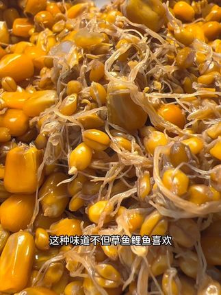 这个季节正适合垂钓鲤鱼草鱼 #钓草鱼#钓鲤鱼#窝料