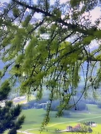 「摆摊火热款」网红加厚方形橙外带汁透明杯一次性创意带盖奶茶瓶 #摆摊 #奶茶瓶 #源头工厂 #批发 #瓶子