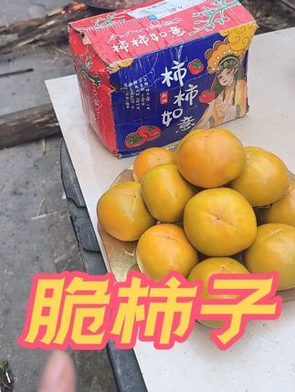 脆甜爽口巨好吃!#新鲜应季水果#尝鲜#超便宜超划算#脆柿子 #口感特别好价格实惠