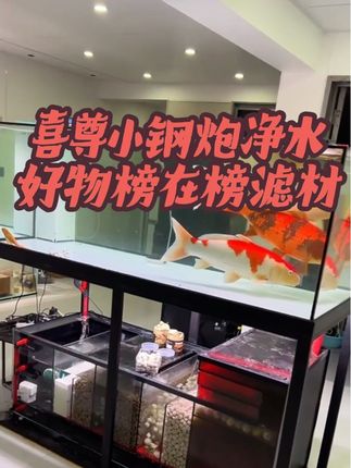 喜尊小钢炮净水好物榜在榜滤材#爆单 #滤材 #空气缸 #空气缸滤材