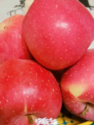 #强烈推荐 #优质农产品 #快来一起尝个鲜 烟台红富士苹果🍎