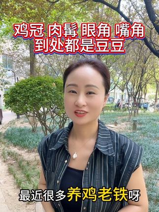 鸡有鸡豆 鸡有鸡豆#三农 #鸡痘 #鸡痘防治 #禽病防治 #农村散养土鸡