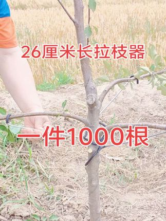 果树拉枝定型神器,果农的好帮手#好物推荐 #作品推广 #抖音助农 @抖音小助手 @DOU+小助手 @生活服务热点中心