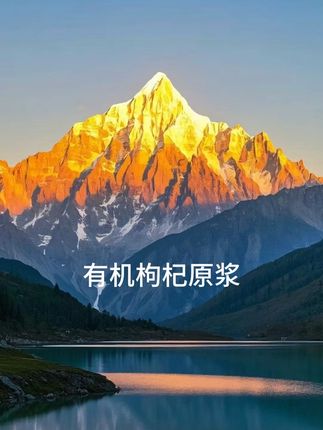 【劲哥热卖】劲家庄有机枸杞原浆出游美味营养NFC鲜榨喝出鲜活姿态#点击小黄车直接购买