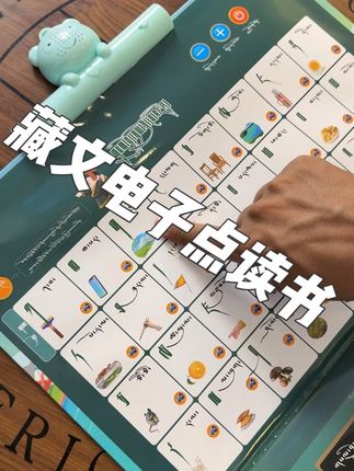 藏文电子点读书 藏文基础 拼音 数学 英语 古诗 故事 人物简介 建筑介绍等#原创视频 #日常生活 #上热搜