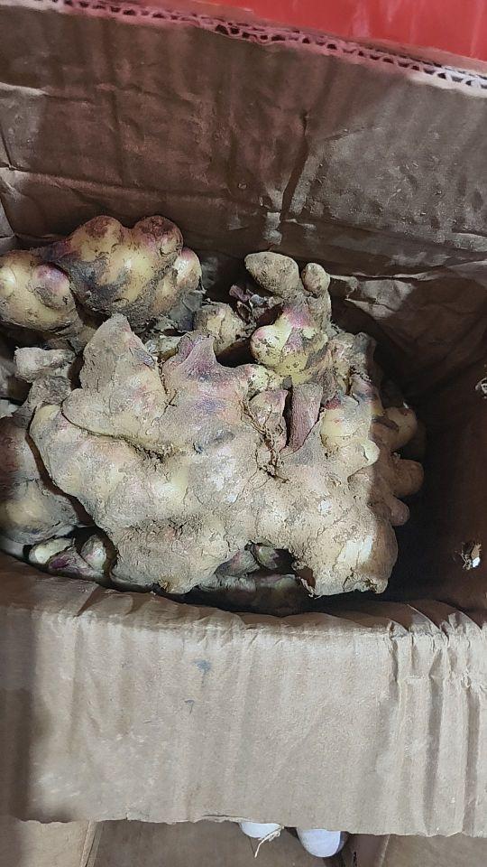 新鲜度:很新鲜 包装品质:很好 商品分量:足 性价比:超高 物流速度:快#我在抖音买买买