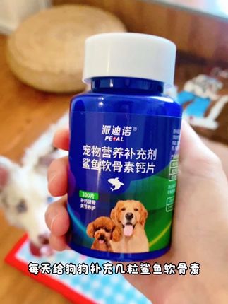 尤其家里有爱跑爱跳、体重过重和年长的狗狗,希望我们的毛孩子到老了都不遭关节那个罪#科学喂养 #养狗小知识 #养狗经验分享 #狗狗关节 #家有宠物