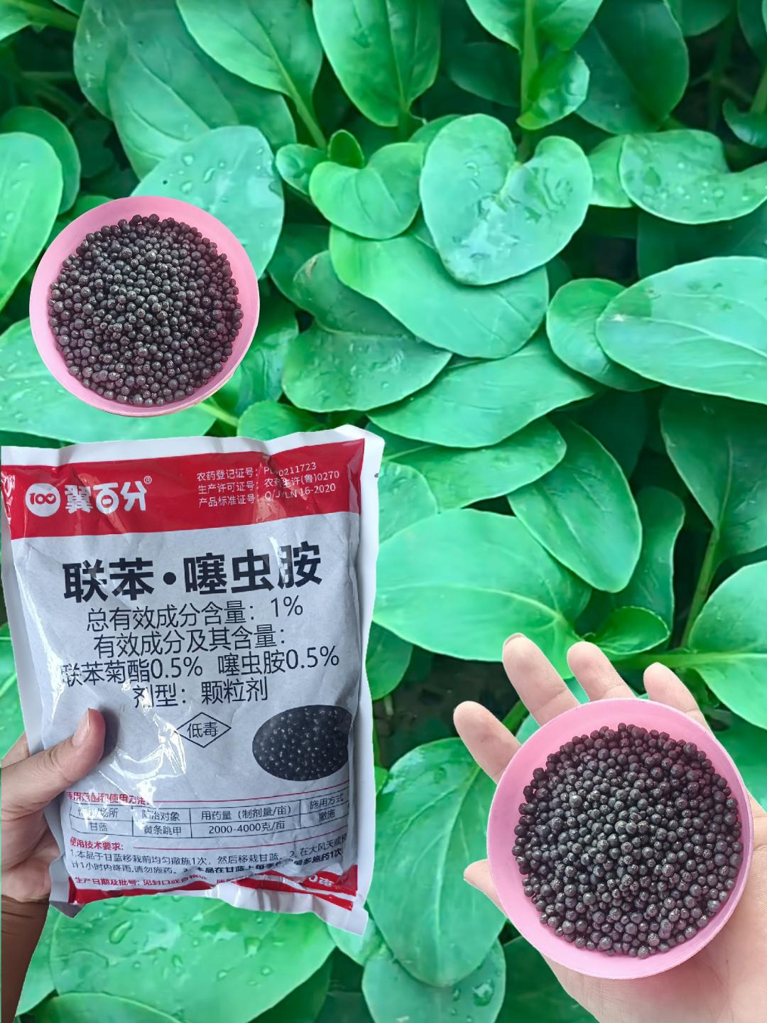菜地里的虫子不见啦!农友朋友们自己种个蔬菜被虫咬得全是洞,很没食欲,让人心烦,朋友推荐了这个防虫颗粒,真的太管用啦!!提前施撒,用它撒施长,出来的菜又好又嫩,干净没虫害,您们也可以来试试#地下害虫防治#蔬菜种植 #抖音助农 @DOU+上热门@DOU+小助手 @DOU+好生意