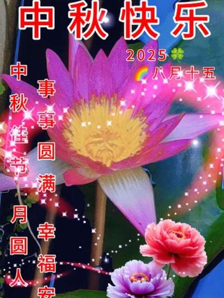 #抖音推广 #原创视频 #助手抖音 #强烈推荐 #万能的抖音