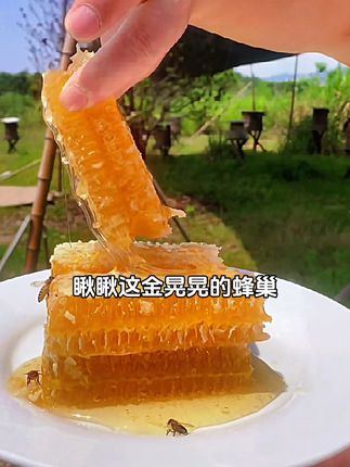 这蜂巢的味道真的绝了,太好吃了#新鲜采摘 #农家土蜂蜜 #大山里的味道 #纯天然无添加 #快来一起尝个鲜