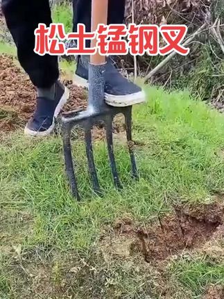 钢叉采用一体锻造,齿尖锋利,破土轻松省力,板结松土,施肥松土,种菜松土,本钢叉铲松土蛮爽哦。#果树种植 #养花种菜 #土壤板结 #松土 #松土钢叉