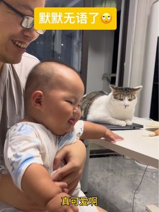 伊伊长了小白牙,张默默又挨批了,张默默真无语😓#萌娃和萌宠 #内容太过真实 #猫咪的迷惑行为