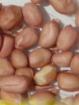 #花生米 ,高山农家种植,颗粒饱满优质🥜米