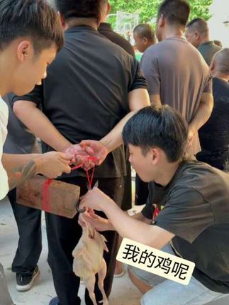 我的鸡呢,意想不到的结局……搞笑视频!