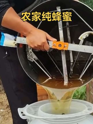 #蜂蜜现场实拍#纯天然蜂蜜自产自销 #抖音助农 #好东西一起分享 #质量第一诚信为本