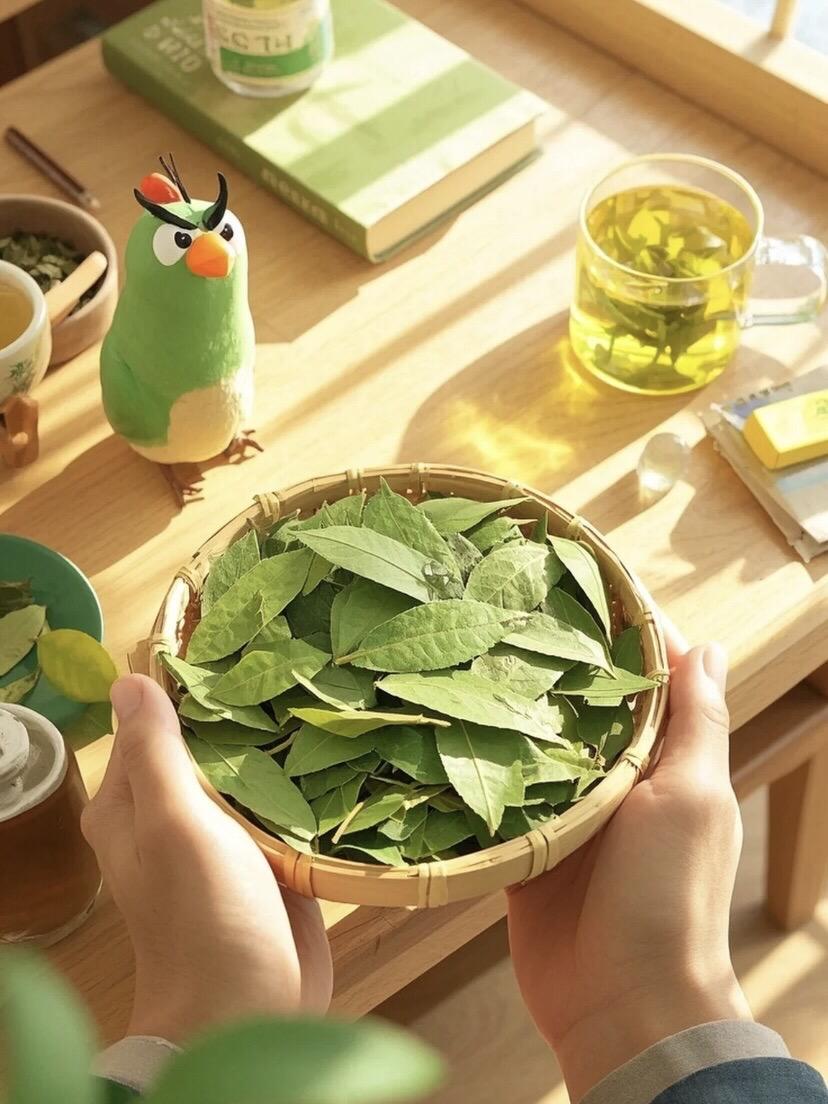 #番泻叶茶 #每日一茶 #今天你喝茶了吗 #养生茶 #好物推荐🔥
