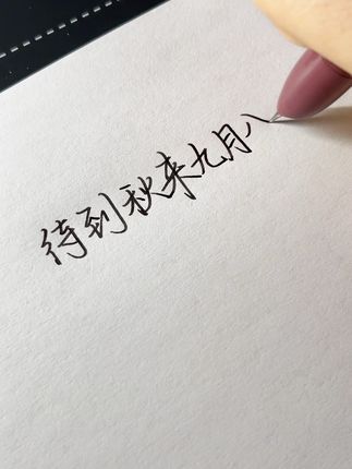 谁还没有这支钢笔我都会伤心的 待到秋来九月八 我花开后百花杀#手写 #摘抄 #文字 @抖音小助手