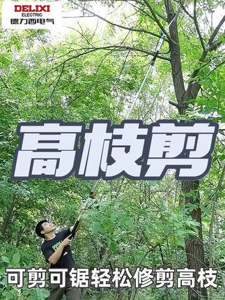德力西电气高枝剪高空粗枝剪3/5/67米伸缩长杆锯园林果树修枝剪刀#园林工具 #修枝剪 #修剪树枝 #高枝剪锯子