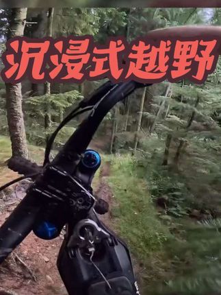 聆听电机的声音 #越野 #林道穿越 #沉浸式体验 #女骑 #虬龙轻蜂