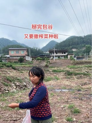 农村的活路,怎么做都做不完,掰完包谷又撒榨菜种,一天累呀!#我乡村生活 #农村生活记录