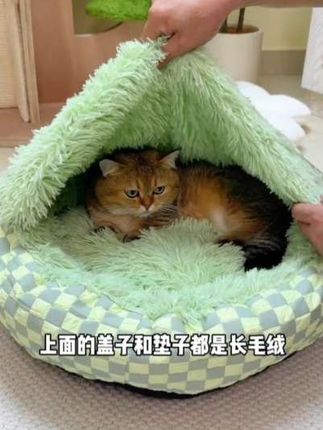猫窝狗窝加厚半封闭宠物窝贝壳睡眠窝秋冬季保暖长毛绒猫窝可水洗#猫窝狗窝 #宠物贝壳窝 #长毛绒猫窝 #宠物治愈 #家有萌宠