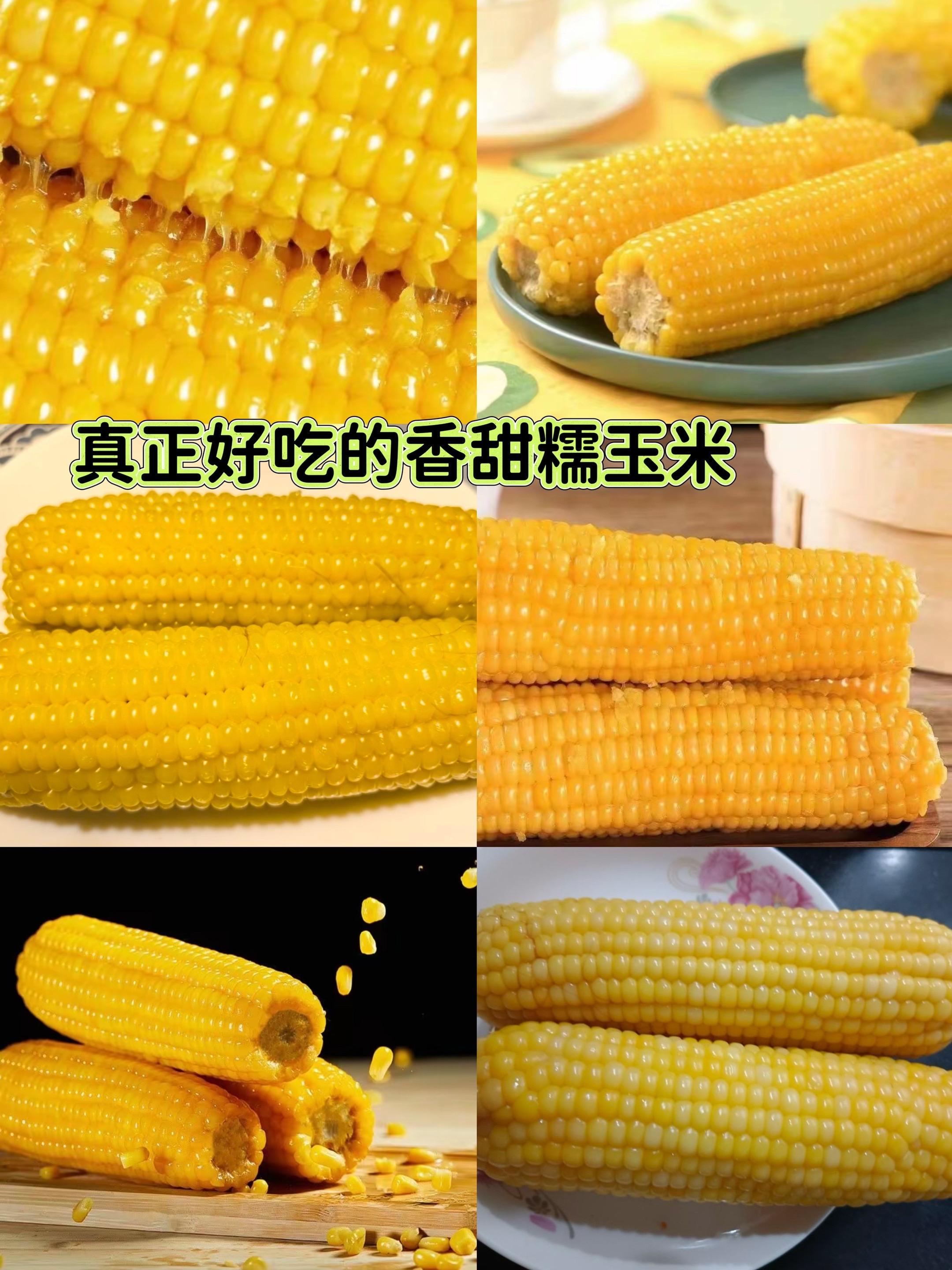 2025新季黄糯玉米香甜软糯金铝箔包装 #黄糯玉米 #香甜软糯 #玉米推荐#东北粘玉米
