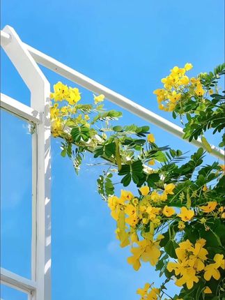 爸爸优秀孩子一定优秀,孩子80%的缺点都来源于爸爸#育儿经验分享 #家长必读 #父母课堂#亲子关系 #好爸爸